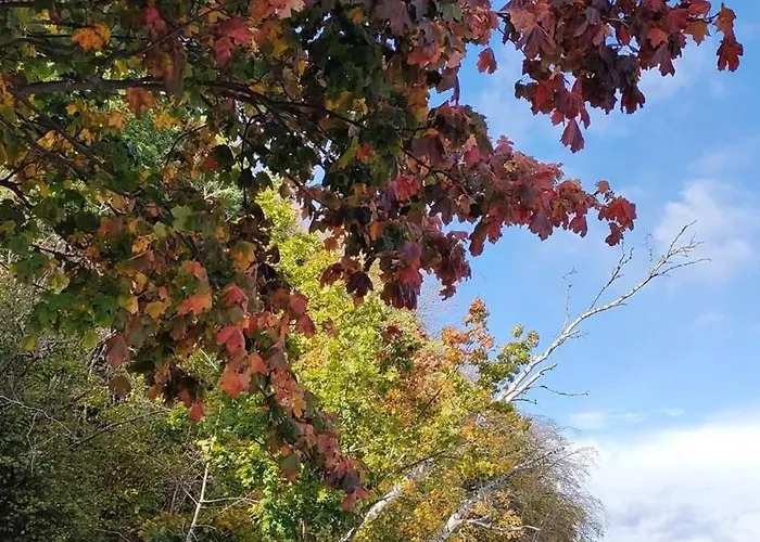 דירה Bayapart - Mieszkanie Przy Plazy *